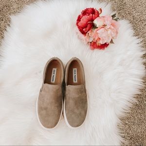 Steve Madden Gillis suede sneaker, 6.5